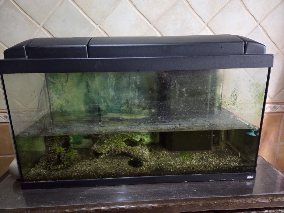 Aquário de Àgua  Quente