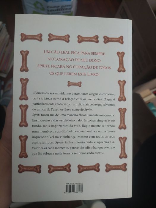 Livro "Como Salvámos Sprite"