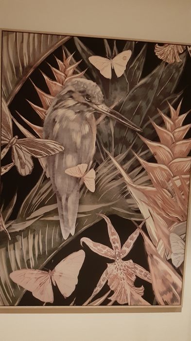 Quadro Amazônia com moldura