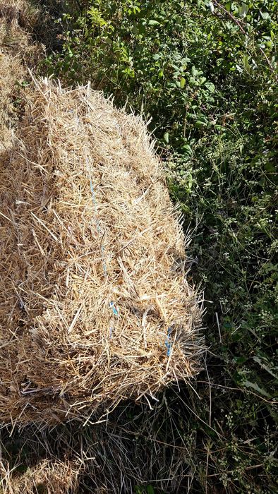 Enfardadeira fiatagri fardos pequenos cordel