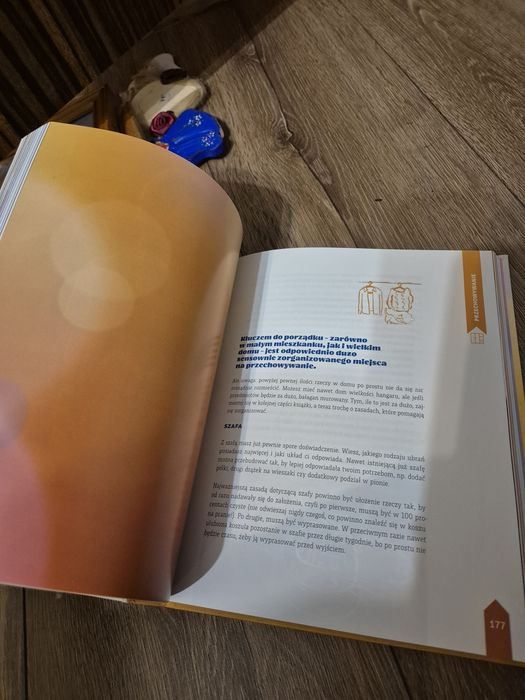 Książka Ula Pedantula pozamiatane