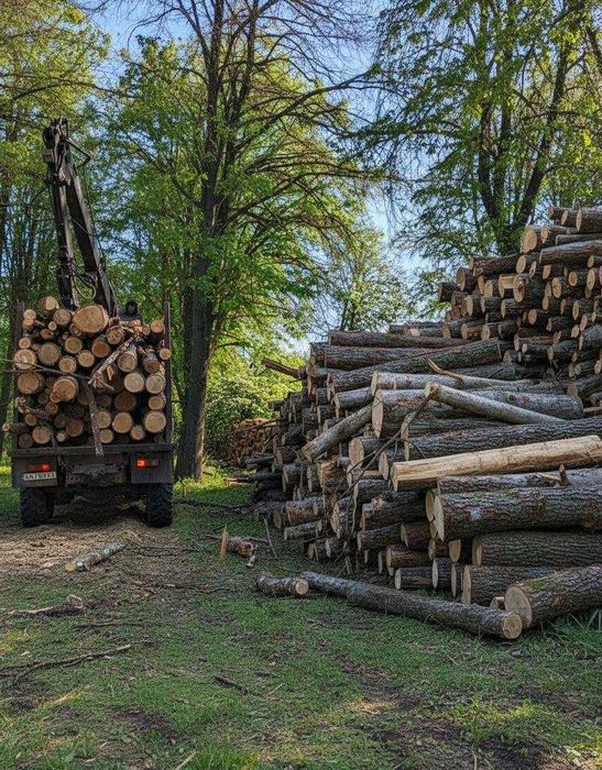 Дрова РУБАНІ та ЧУРКИ. Доставка 0 грн! Оплата при отриманні!