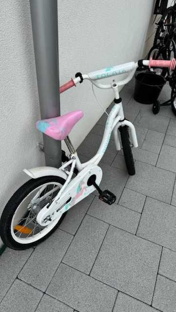 Rower Tola 16 Romet