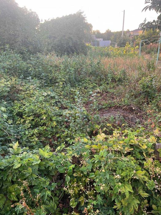 Терміново продам 3-х  кімнатну квартиру в с.Ватутіне