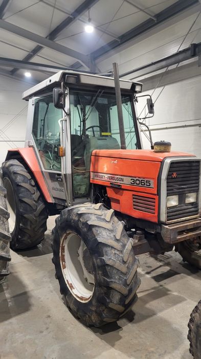 Massey ferguson  3065!! Prosto od rolnika!! Nie szykowany!!