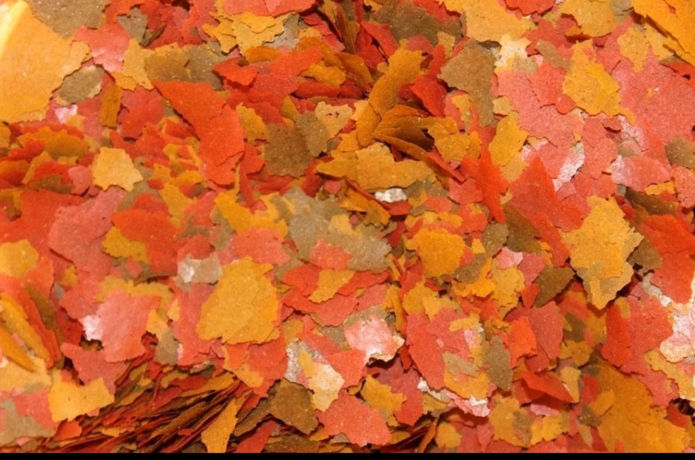 Flocos MIX peixes ornamentais