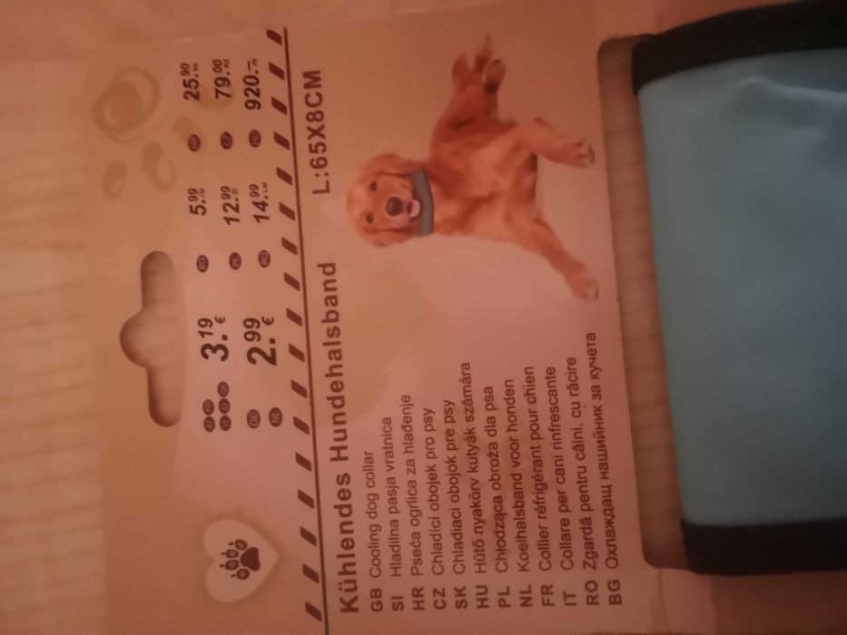 Охолоджуючий нашийник для собаки