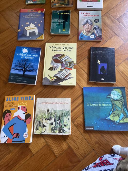 Livros juvenis Tea Stilton, Geronimo Stilton e outros, em bom estado