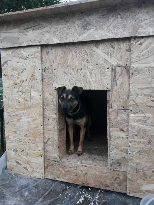 Будка термо для собаки из сип панелей