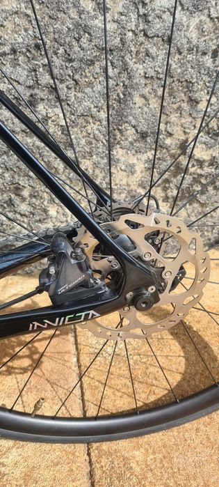 Coluer invicta disc