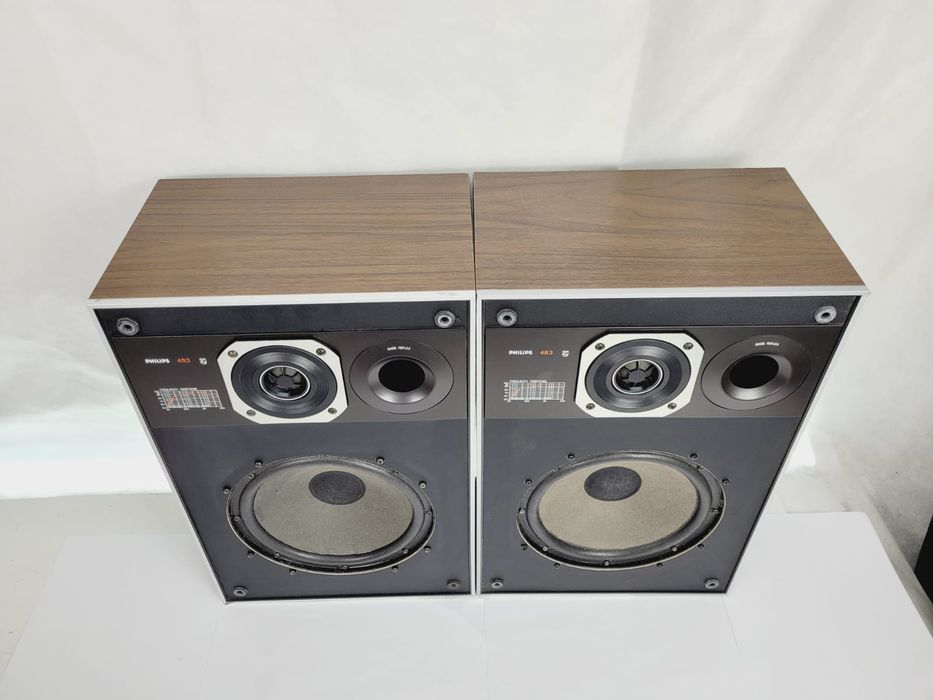 Philips 22 AH 483 / 00 Z 8ohm 80W bas 20cm Belgium