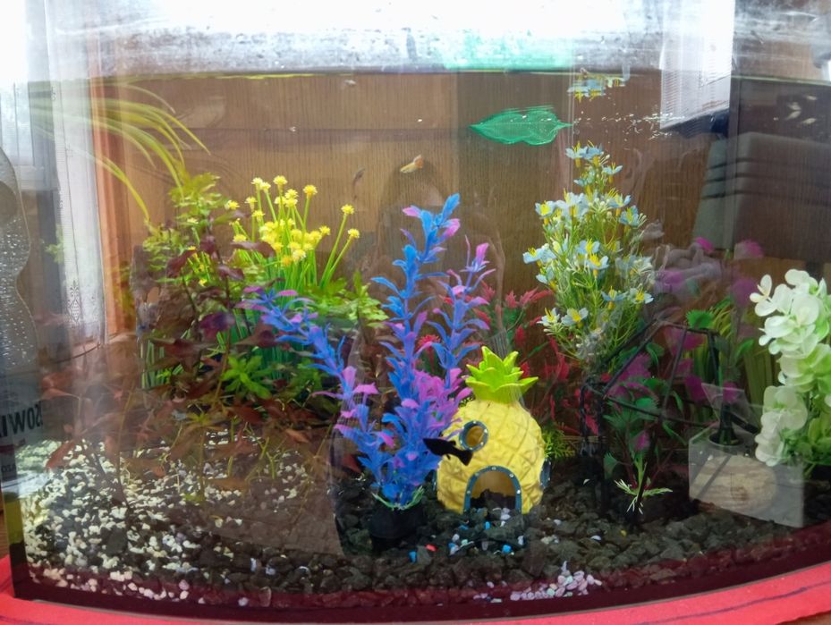 Odsprzedam akwarium z wystrojem