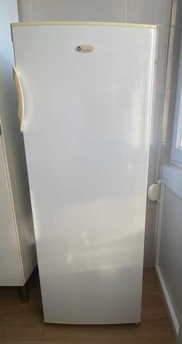 Arca Congeladora Vertical TELEFAC (55 cm - 140m - Branco)
