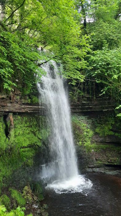 Massagista Masculino