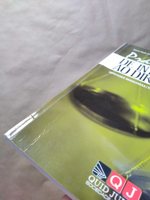 Prática de Introdução ao Direito