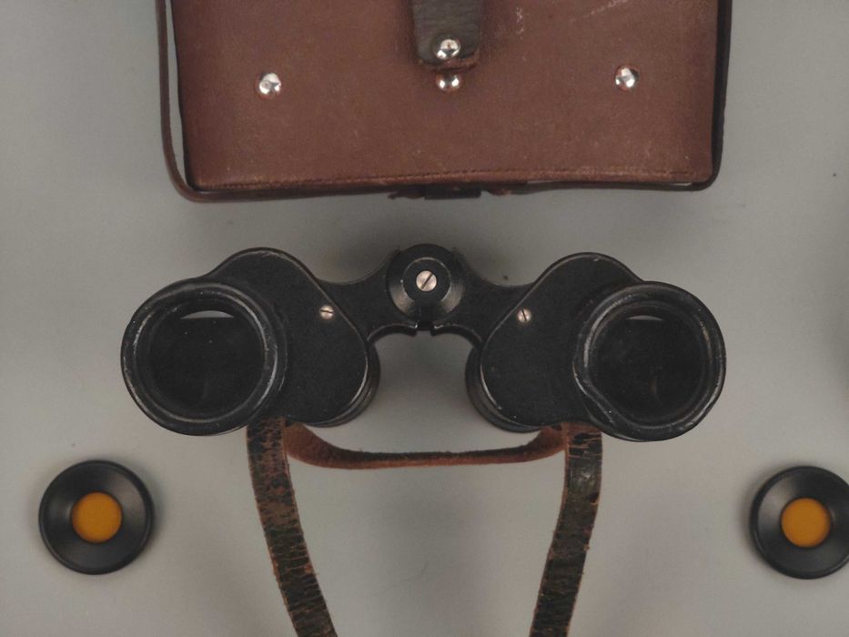 Бинокль Б 8х30 М Армейский (КОМЗ) 1980х (Списание) (Сетка) СССР