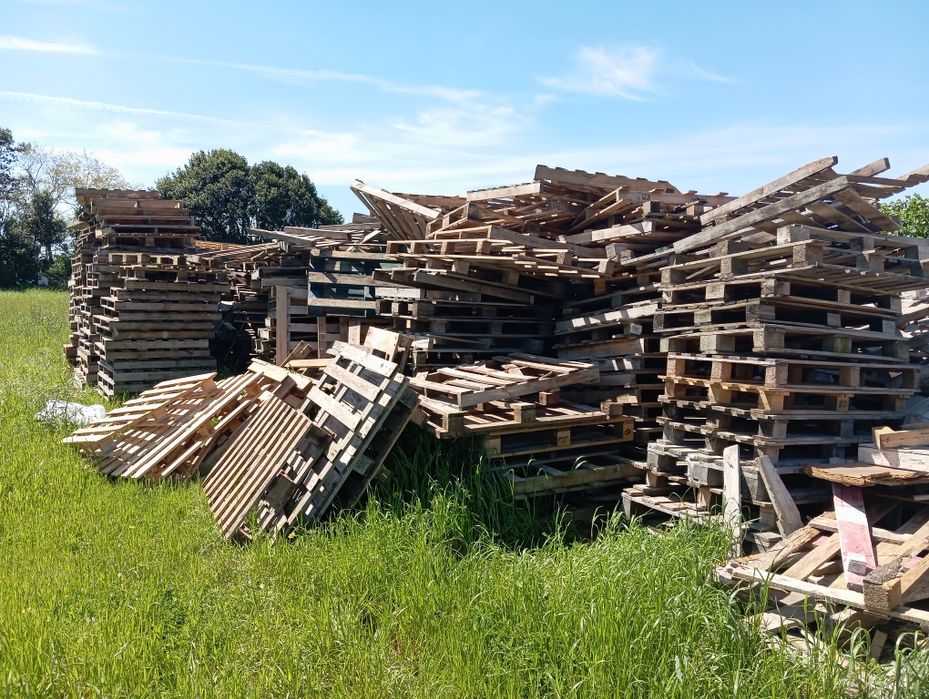 Paletes de madeira usadas