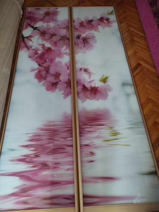 Шафа-купе (фасад)