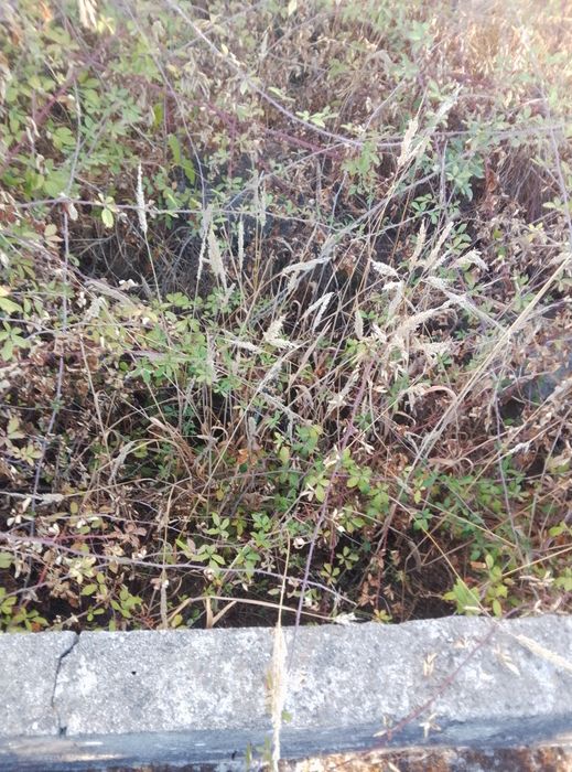 Terreno em Alcains venda urgente