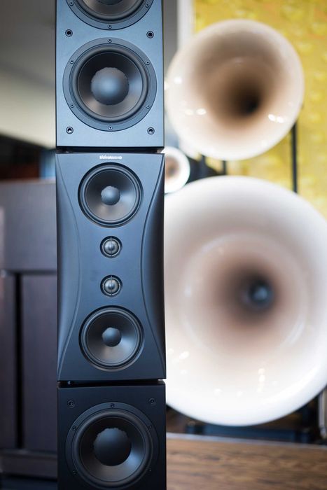 DYNAUDIO Evidence Platinum