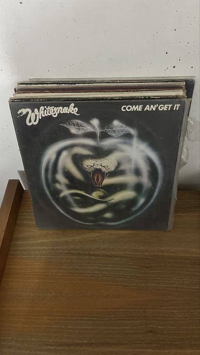 Discos de vinil em perfeito estado