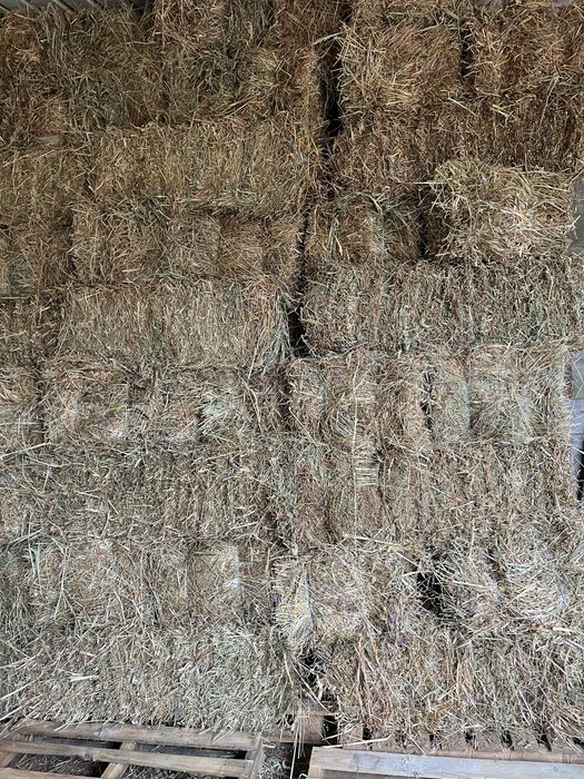 Fardos de palha 2024