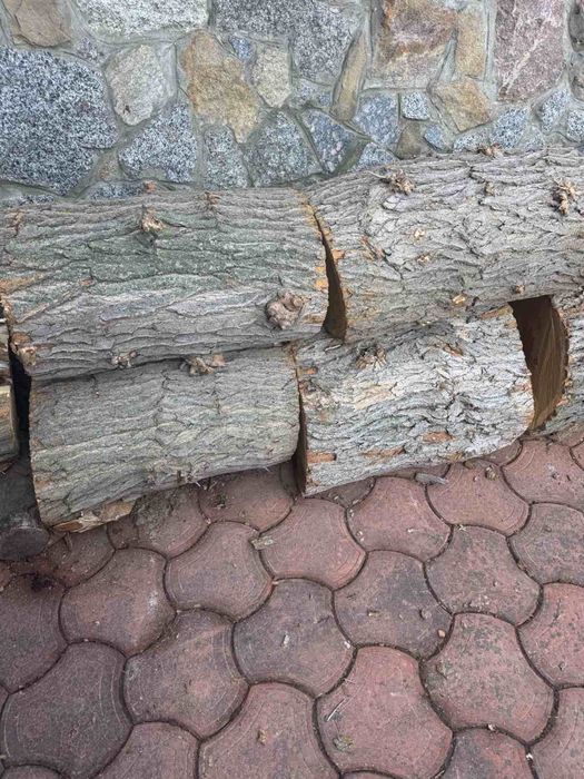 Колода ( бревно )  з горіха, груші, шовковиці