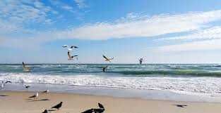 Продается дом на берегу моря, в курортном районе Коблево.