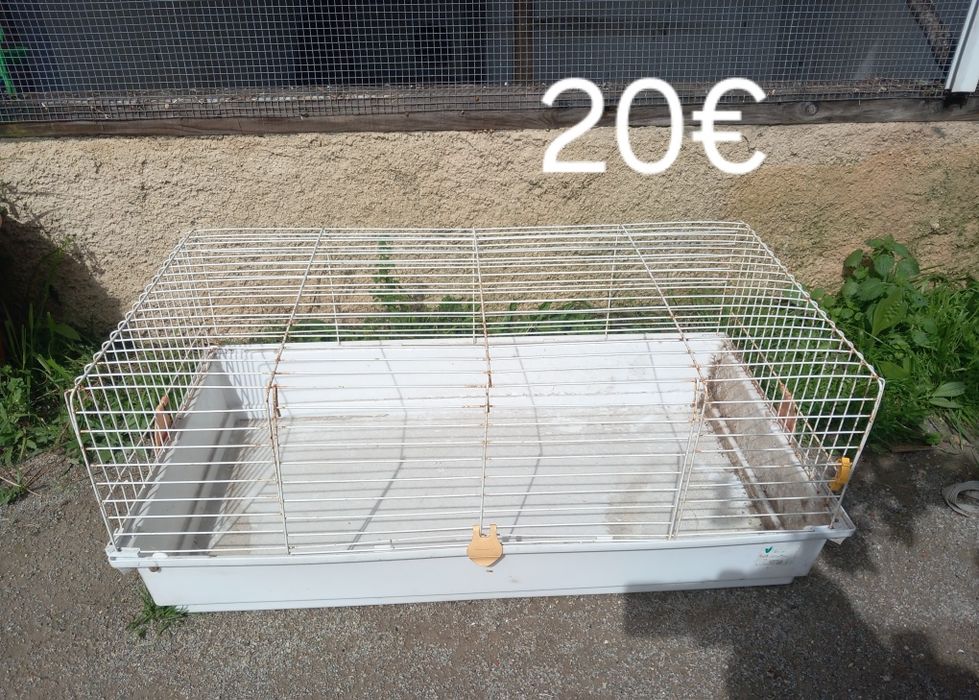 Várias gaiolas para coelhos,porcos da Índia ...