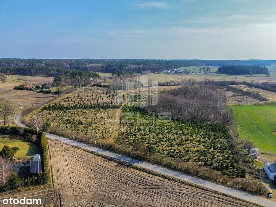 Urokliwe działki z naturą w tle - Widok 5