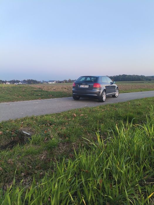 Audi A3 8p 1.6 benzyna+lpg