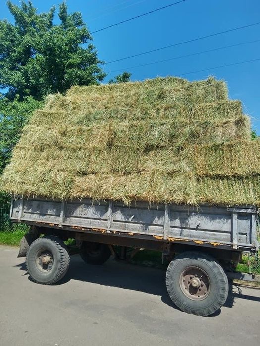 Тюки: Солома, Сіно  Доставка (Декор)