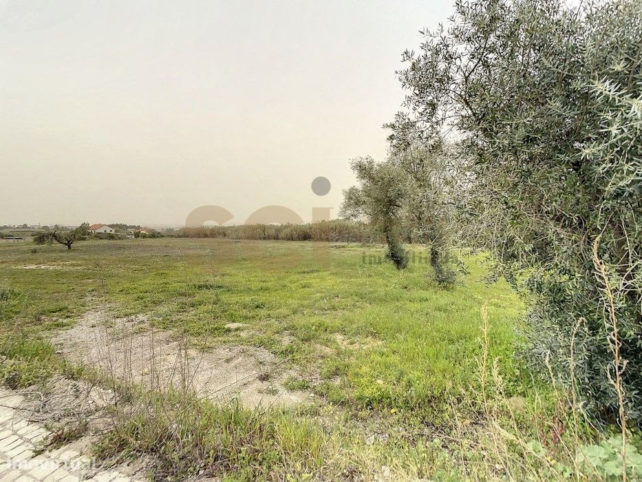 Urban Plot Quinta do Anjo, PIP under review for 16 dwellings.