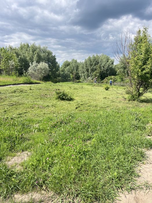 Терміновий покос трави бурьянів