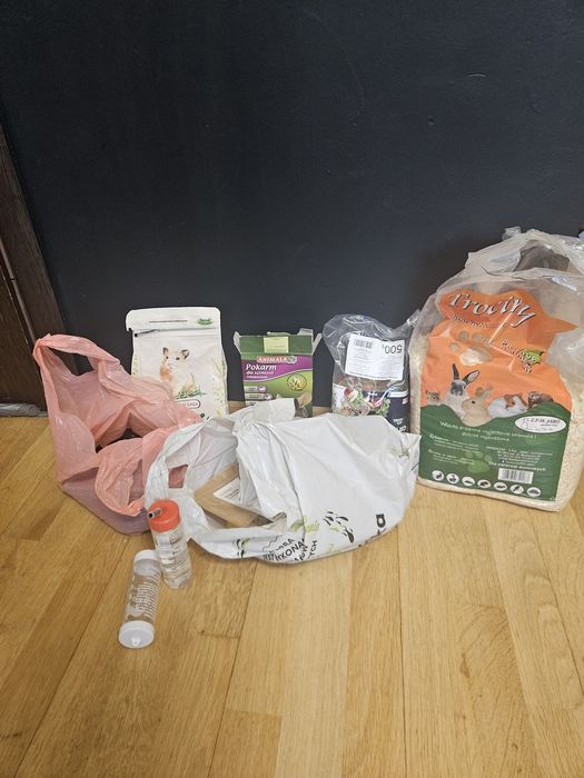 2 szczury samiczki dumbo z klatką zabezpieczoną, akcesoriami i karmą