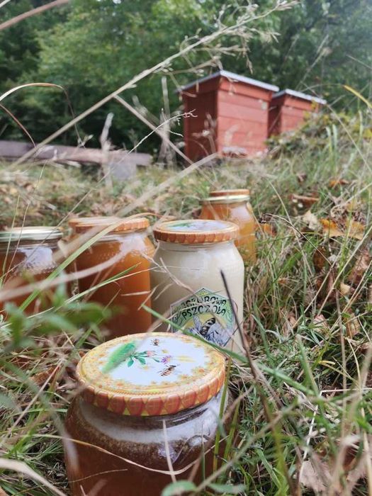 Sprzedam miód rzepakowy pakiet (10+1)