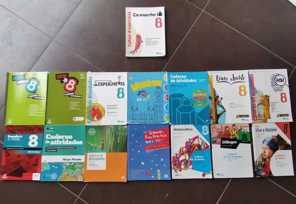Manuais e Livros de fichas do 8°Ano