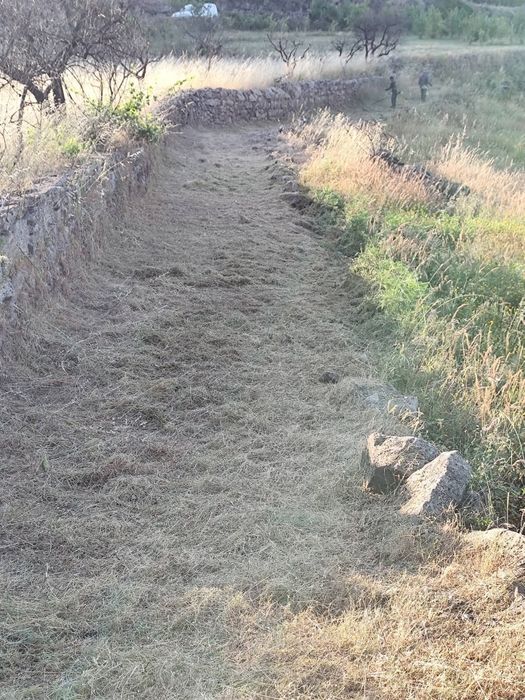 Trabalhos agrícolas e lar