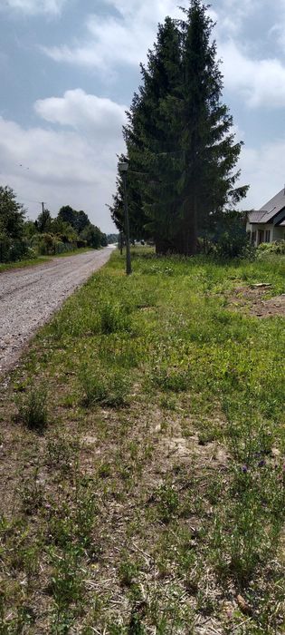 Działka na sprzedaż z WZ - Sitaniec Kolonia - View 5