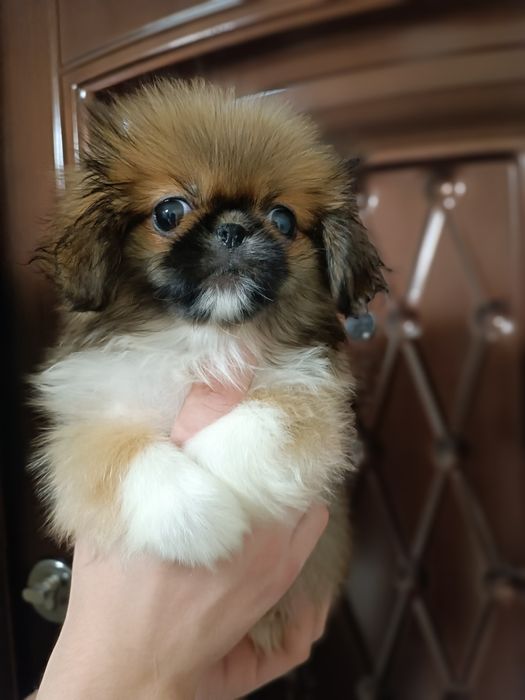 Радость ждёт именно Вас