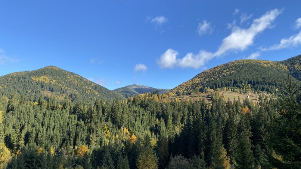 Земля під будову, межує з лісом, гарний доїзд