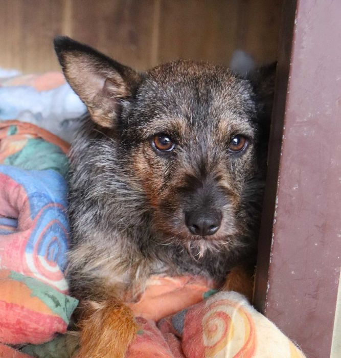 Ikona szuka spokojnego domu