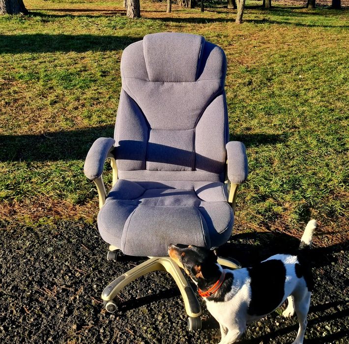 Fotel obrotowy DESMOND biurowy popiel tkanina WYGODNY