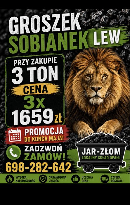 Lew sobianek groszek  5-25