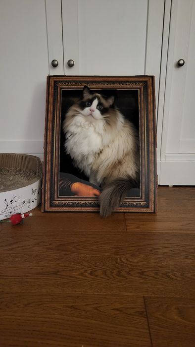 Drapak legowisko dla kota Mona Lisa