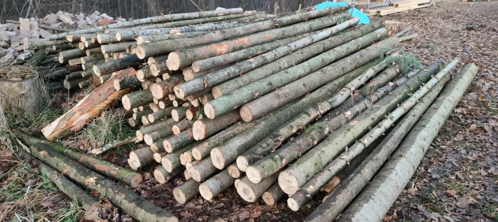 Stemple budowlane jodłowe 2.7- 3.0 metry 5zł za sztukę. Dowóz do 10 km