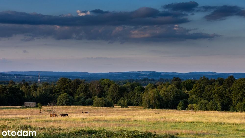 Pobiedna - działka budowlana na wzgórzu, 2 km od Świeradowa Zdroju