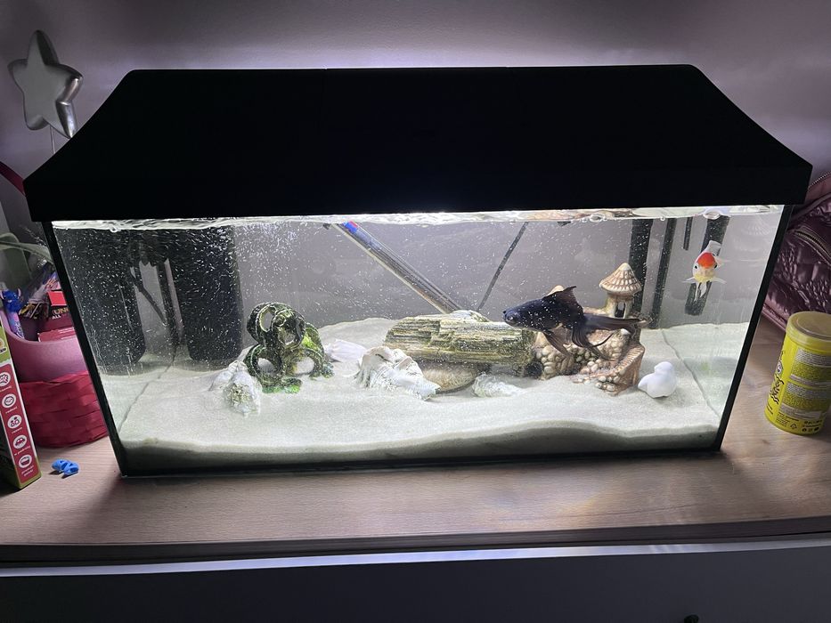 Akwarium Aquael 50 l , akwrium z życiem !!