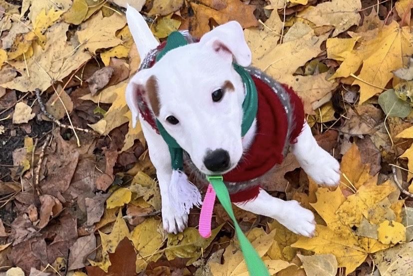 Красивенная малышка ищет маму