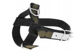 Kantar dla cieląt Profi, zielony, z okuciami, Can Agri